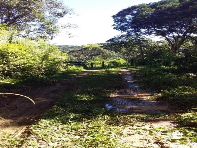 #140 - Terreno para Venda em São Paulo - SP - 2