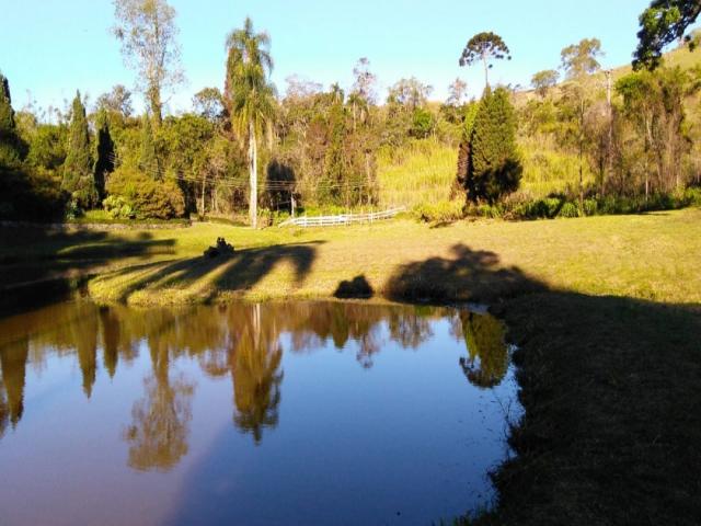 #584 - Área para Venda em São Paulo - SP - 1