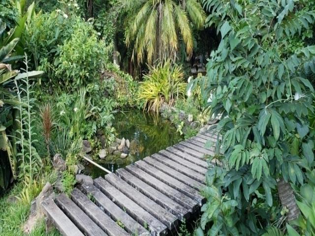 Sítio para Venda em Guarulhos - 5