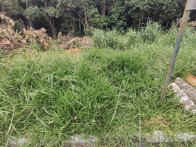 Terreno para Venda em Arujá - 5